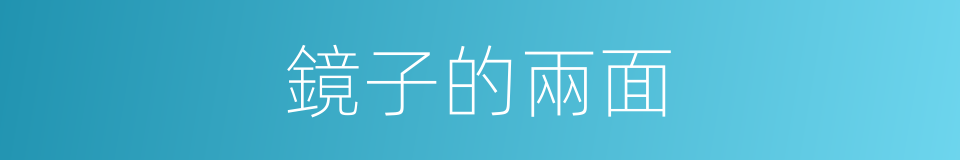 鏡子的兩面的同義詞