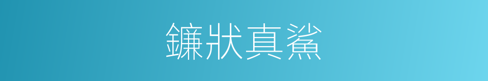 鐮狀真鯊的同義詞