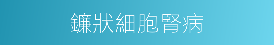 鐮狀細胞腎病的同義詞