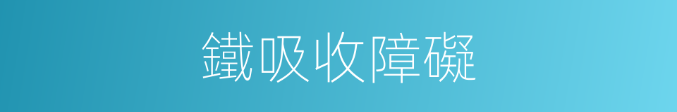 鐵吸收障礙的同義詞