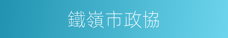 鐵嶺市政協的同義詞