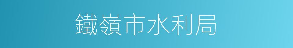 鐵嶺市水利局的同義詞