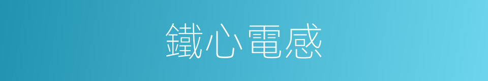 鐵心電感的同義詞