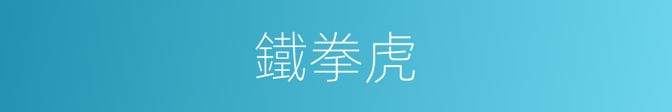 鐵拳虎的同義詞