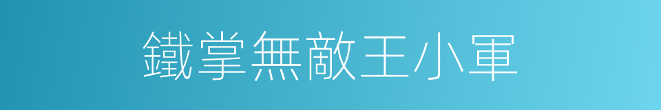 鐵掌無敵王小軍的同義詞