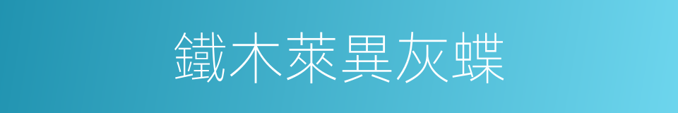 鐵木萊異灰蝶的同義詞