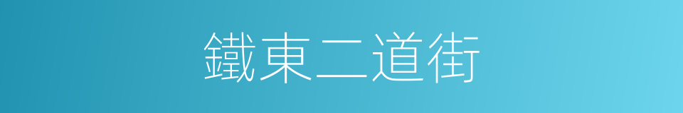 鐵東二道街的同義詞