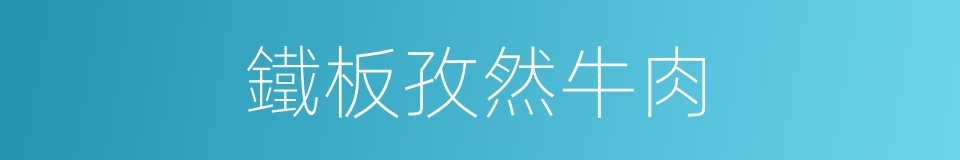 鐵板孜然牛肉的同義詞