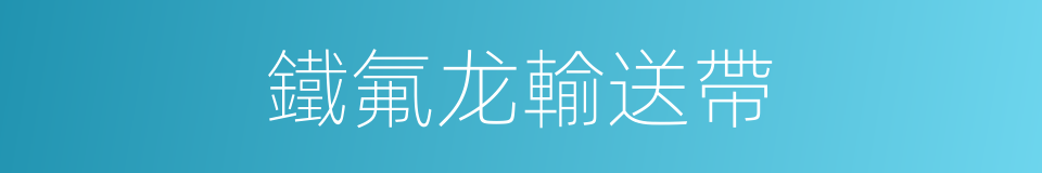 鐵氟龙輸送帶的同義詞