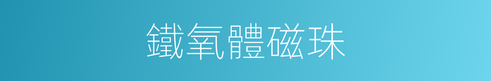 鐵氧體磁珠的同義詞