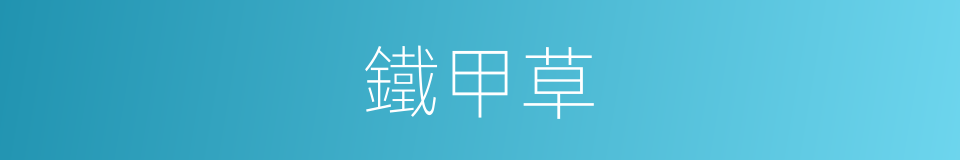 鐵甲草的同義詞