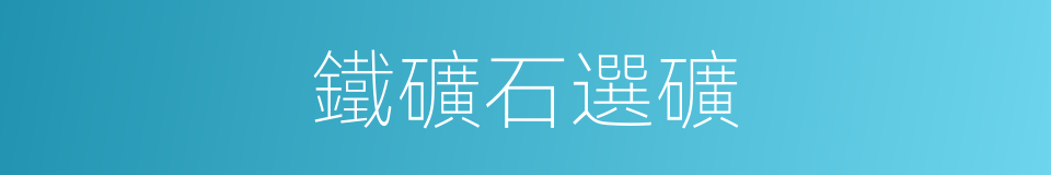 鐵礦石選礦的同義詞