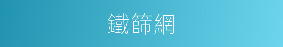 鐵篩網的同義詞