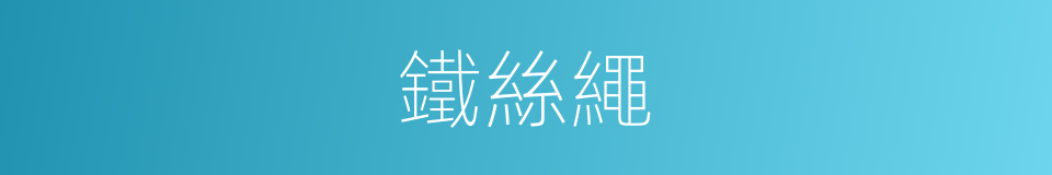 鐵絲繩的同義詞