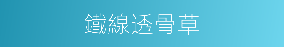 鐵線透骨草的同義詞