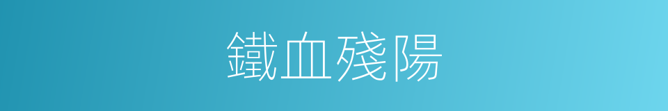 鐵血殘陽的同義詞