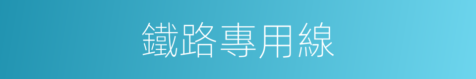 鐵路專用線的同義詞