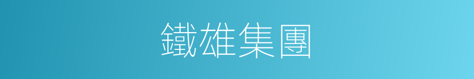 鐵雄集團的同義詞