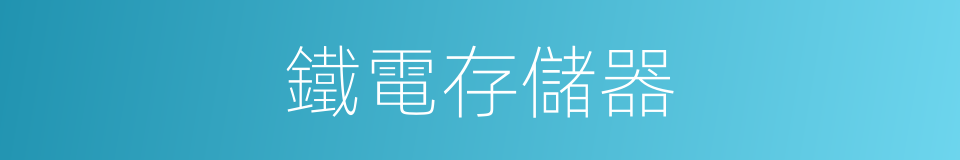 鐵電存儲器的同義詞