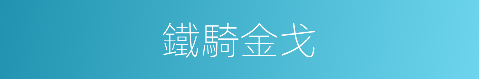 鐵騎金戈的同義詞