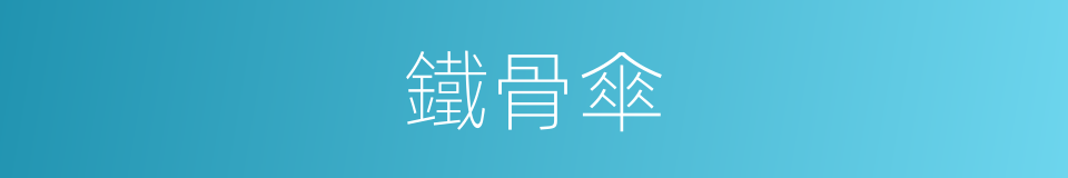 鐵骨傘的同義詞