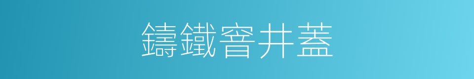 鑄鐵窨井蓋的同義詞