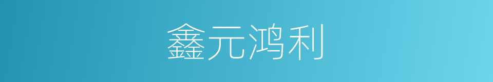 鑫元鸿利的同义词