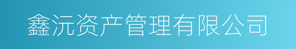 鑫沅资产管理有限公司的同义词