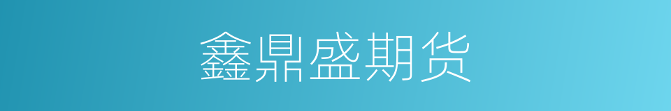 鑫鼎盛期货的同义词