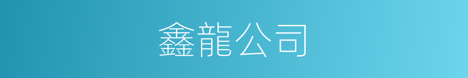 鑫龍公司的同義詞