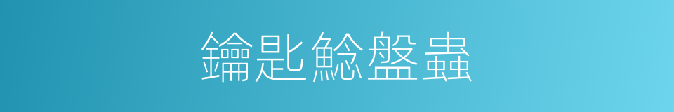 鑰匙鯰盤蟲的同義詞