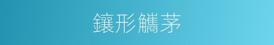 鑲形觿茅的同義詞