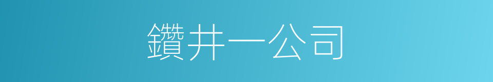 鑽井一公司的同義詞