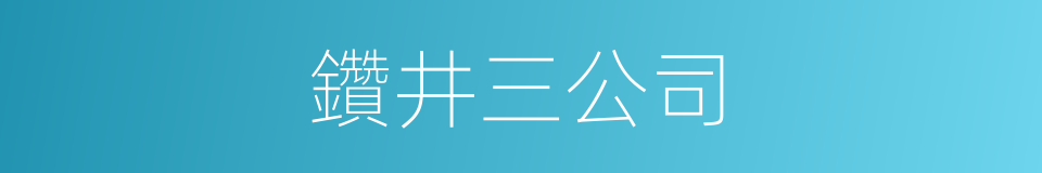 鑽井三公司的同義詞