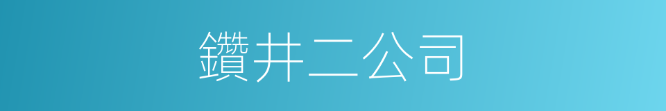 鑽井二公司的同義詞