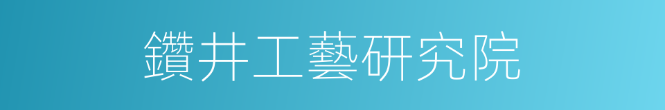 鑽井工藝研究院的同義詞