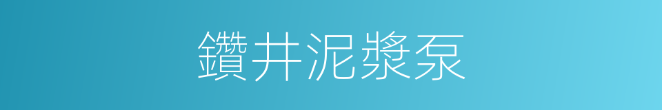 鑽井泥漿泵的同義詞