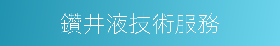 鑽井液技術服務的同義詞