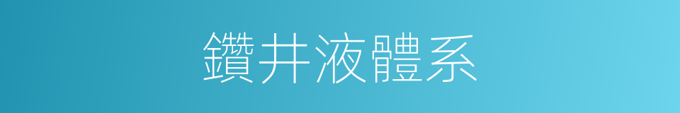 鑽井液體系的同義詞