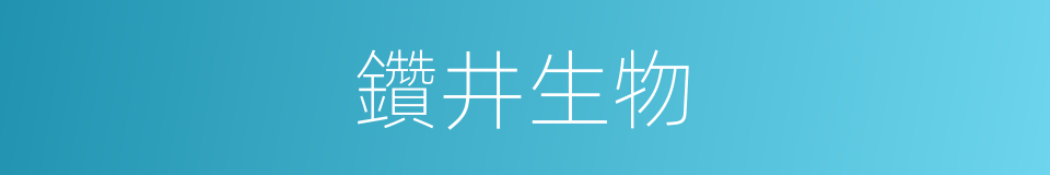 鑽井生物的同義詞