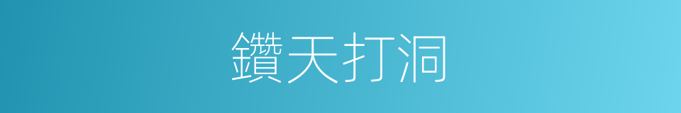 鑽天打洞的意思