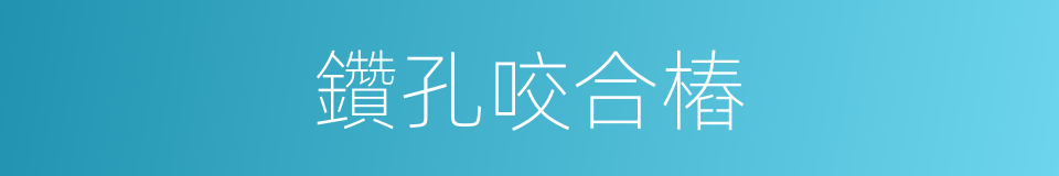 鑽孔咬合樁的同義詞