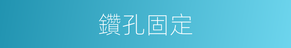 鑽孔固定的同義詞