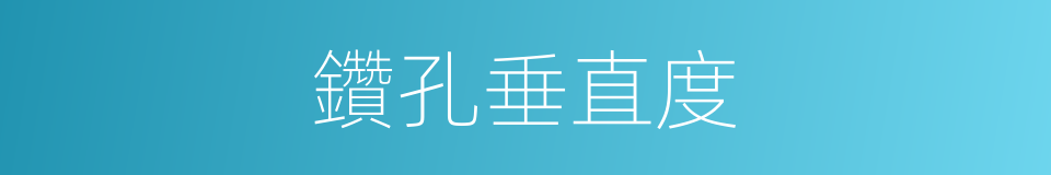 鑽孔垂直度的同義詞
