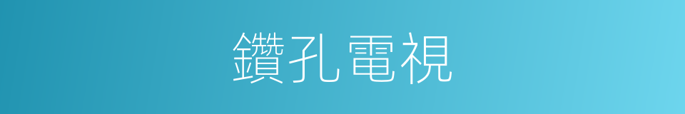 鑽孔電視的同義詞