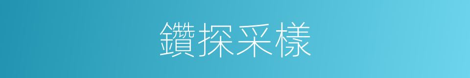 鑽探采樣的同義詞
