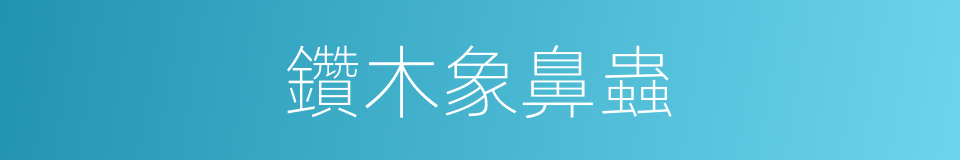 鑽木象鼻蟲的同義詞