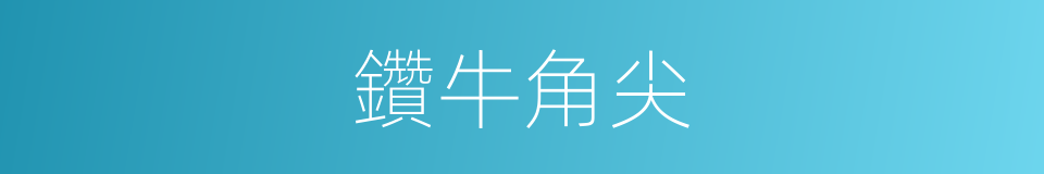 鑽牛角尖的意思