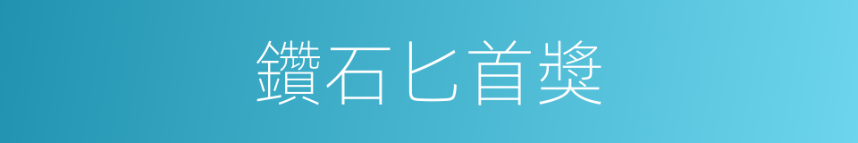 鑽石匕首獎的同義詞