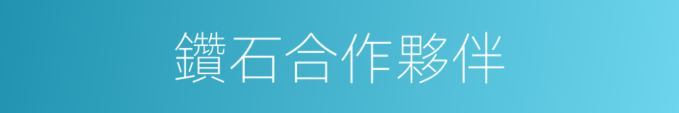 鑽石合作夥伴的同義詞